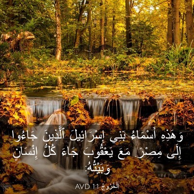 Picture 03 - اَلْخُرُوجُ 1:1 AVD - وَهَذِهِ أَسْمَاءُ بَنِي - Bible Verse Picture