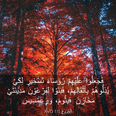 Picture 03 - اَلْخُرُوجُ 1:11 AVD - فَجَعَلُوا عَلَيْهِمْ - Bible Verse Picture