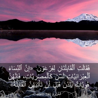 Picture 03 - اَلْخُرُوجُ 1:19 AVD - فَقَالَتِ ٱلْقَابِلَتَانِ - Bible Verse Picture