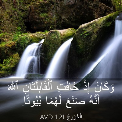 Picture 03 - اَلْخُرُوجُ 1:21 AVD - وَكَانَ إِذْ خَافَتِ - Bible Verse Picture