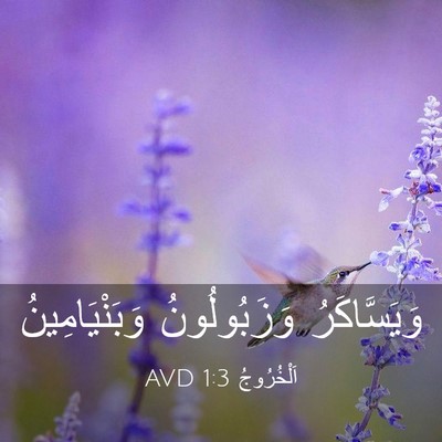 Picture 03 - اَلْخُرُوجُ 1:3 AVD - وَيَسَّاكَرُ وَزَبُولُونُ - Bible Verse Picture