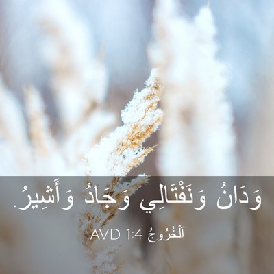 Picture 03 - اَلْخُرُوجُ 1:4 AVD - وَدَانُ وَنَفْتَالِي - Bible Verse Picture