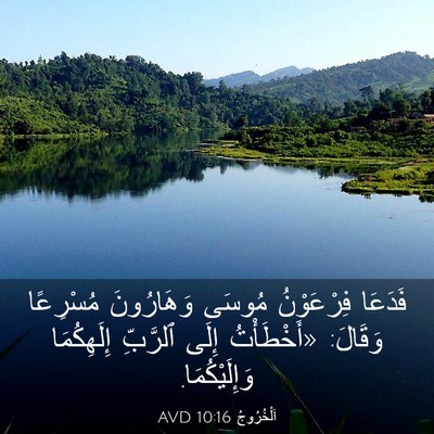 Picture 03 - اَلْخُرُوجُ 10:16 AVD - فَدَعَا فِرْعَوْنُ مُوسَى - Bible Verse Picture