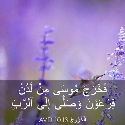 Picture 03 - اَلْخُرُوجُ 10:18 AVD - فَخَرَجَ مُوسَى مِنْ - Bible Verse Picture