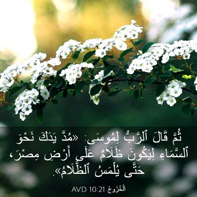 Picture 03 - اَلْخُرُوجُ 10:21 AVD - ثُمَّ قَالَ ٱلرَّبُّ - Bible Verse Picture
