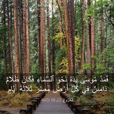 Picture 03 - اَلْخُرُوجُ 10:22 AVD - فَمَدَّ مُوسَى يَدَهُ - Bible Verse Picture
