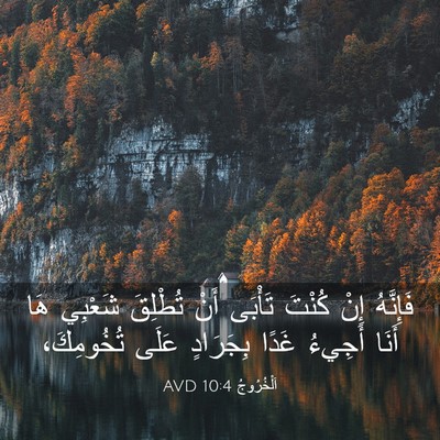 Picture 03 - اَلْخُرُوجُ 10:4 AVD - فَإِنَّهُ إِنْ كُنْتَ - Bible Verse Picture