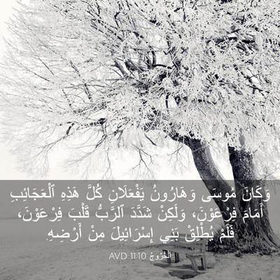 Picture 03 - اَلْخُرُوجُ 11:10 AVD - وَكَانَ مُوسَى وَهَارُونُ - Bible Verse Picture