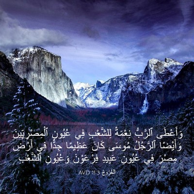 Picture 03 - اَلْخُرُوجُ 11:3 AVD - وَأَعْطَى ٱلرَّبُّ - Bible Verse Picture