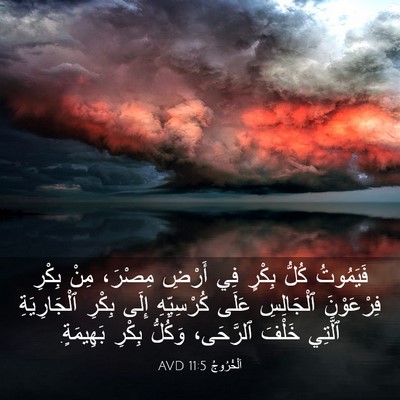 Picture 03 - اَلْخُرُوجُ 11:5 AVD - فَيَمُوتُ كُلُّ بِكْرٍ فِي - Bible Verse Picture