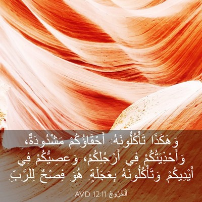 Picture 03 - اَلْخُرُوجُ 12:11 AVD - وَهَكَذَا تَأْكُلُونَهُ: - Bible Verse Picture