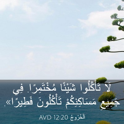 Picture 03 - اَلْخُرُوجُ 12:20 AVD - لَا تَأْكُلُوا شَيْئًا - Bible Verse Picture