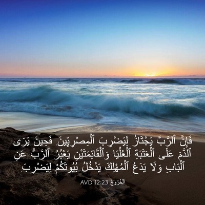 Picture 03 - اَلْخُرُوجُ 12:23 AVD - فَإِنَّ ٱلرَّبَّ - Bible Verse Picture