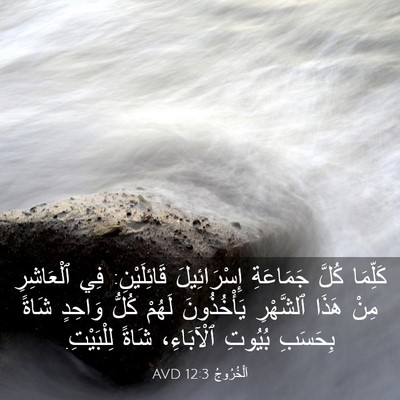 Picture 03 - اَلْخُرُوجُ 12:3 AVD - كَلِّمَا كُلَّ جَمَاعَةِ - Bible Verse Picture