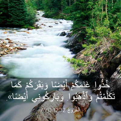 Picture 03 - اَلْخُرُوجُ 12:32 AVD - خُذُوا غَنَمَكُمْ أَيْضًا - Bible Verse Picture