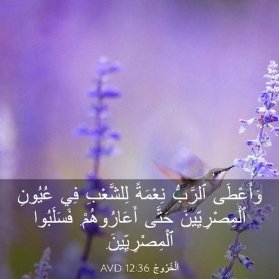 Picture 03 - اَلْخُرُوجُ 12:36 AVD - وَأَعْطَى ٱلرَّبُّ - Bible Verse Picture