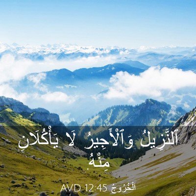 Picture 03 - اَلْخُرُوجُ 12:45 AVD - ٱلنَّزِيلُ وَٱلْأَجِيرُ - Bible Verse Picture