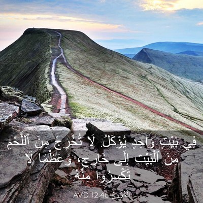 Picture 03 - اَلْخُرُوجُ 12:46 AVD - فِي بَيْتٍ وَاحِدٍ - Bible Verse Picture