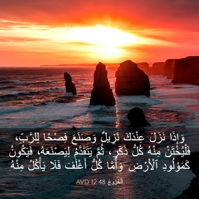 Picture 03 - اَلْخُرُوجُ 12:48 AVD - وَإِذَا نَزَلَ عِنْدَكَ - Bible Verse Picture