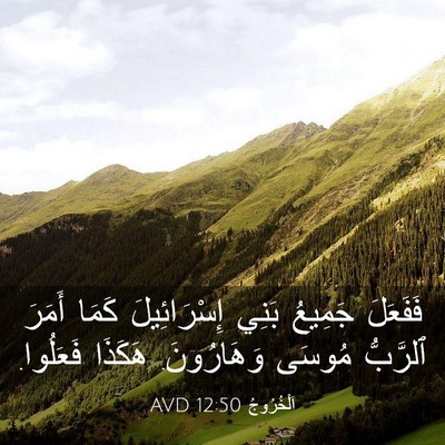 Picture 03 - اَلْخُرُوجُ 12:50 AVD - فَفَعَلَ جَمِيعُ بَنِي - Bible Verse Picture