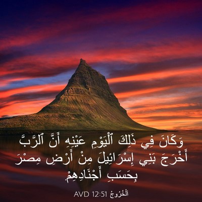 Picture 03 - اَلْخُرُوجُ 12:51 AVD - وَكَانَ فِي ذَلِكَ - Bible Verse Picture