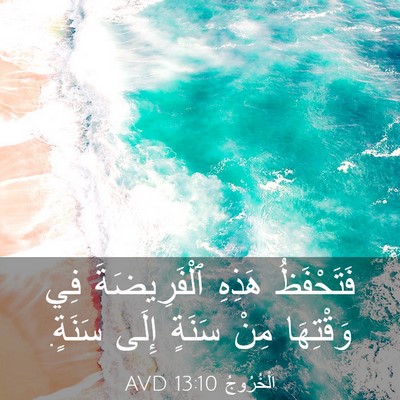 Picture 03 - اَلْخُرُوجُ 13:10 AVD - فَتَحْفَظُ هَذِهِ - Bible Verse Picture