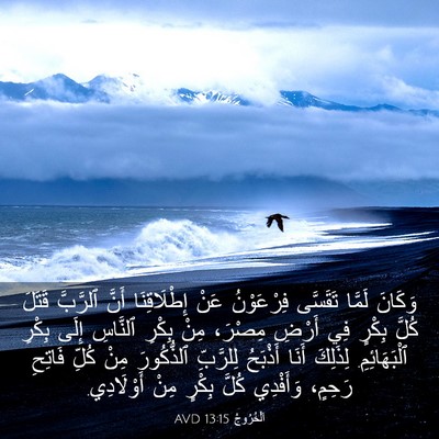 Picture 03 - اَلْخُرُوجُ 13:15 AVD - وَكَانَ لَمَّا تَقَسَّى - Bible Verse Picture