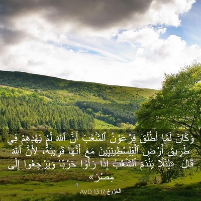 Picture 03 - اَلْخُرُوجُ 13:17 AVD - وَكَانَ لَمَّا أَطْلَقَ - Bible Verse Picture