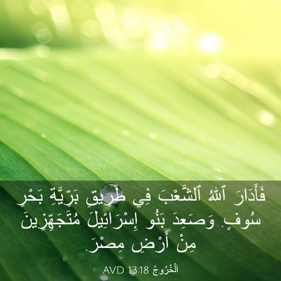 Picture 03 - اَلْخُرُوجُ 13:18 AVD - فَأَدَارَ ٱللهُ ٱلشَّعْبَ - Bible Verse Picture