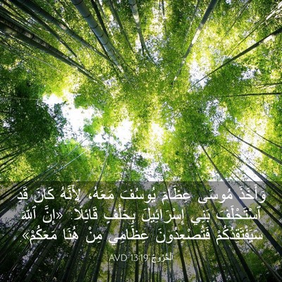 Picture 03 - اَلْخُرُوجُ 13:19 AVD - وَأَخَذَ مُوسَى عِظَامَ - Bible Verse Picture