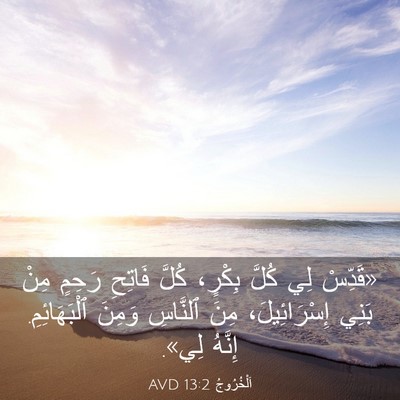 Picture 03 - اَلْخُرُوجُ 13:2 AVD - «قَدِّسْ لِي كُلَّ بِكْرٍ، - Bible Verse Picture