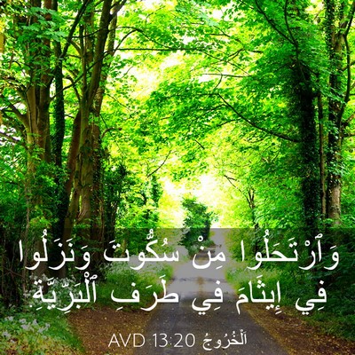 Picture 03 - اَلْخُرُوجُ 13:20 AVD - وَٱرْتَحَلُوا مِنْ - Bible Verse Picture