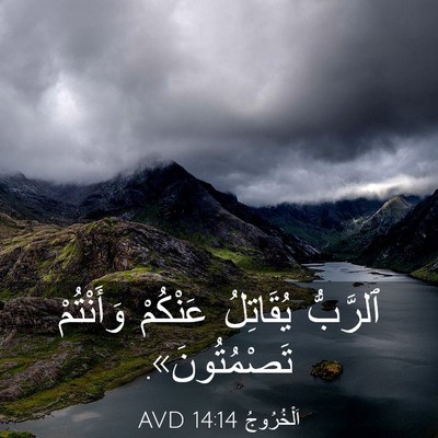 Picture 03 - اَلْخُرُوجُ 14:14 AVD - ٱلرَّبُّ يُقَاتِلُ - Bible Verse Picture