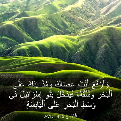 Picture 03 - اَلْخُرُوجُ 14:16 AVD - وَٱرْفَعْ أَنْتَ عَصَاكَ - Bible Verse Picture