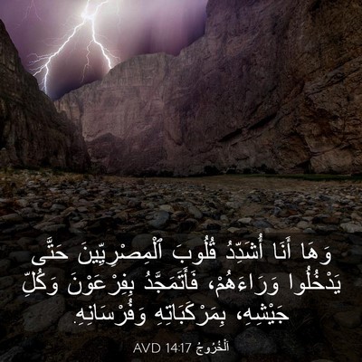 Picture 03 - اَلْخُرُوجُ 14:17 AVD - وَهَا أَنَا أُشَدِّدُ - Bible Verse Picture