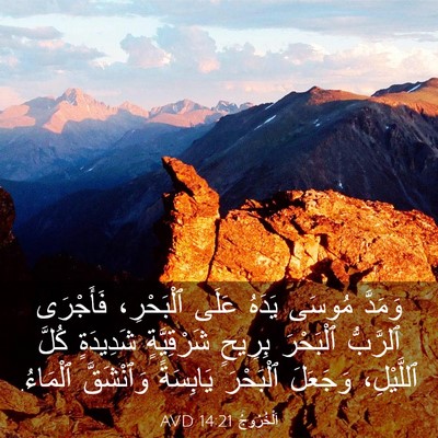 Picture 03 - اَلْخُرُوجُ 14:21 AVD - وَمَدَّ مُوسَى يَدَهُ - Bible Verse Picture