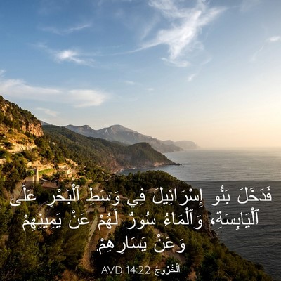 Picture 03 - اَلْخُرُوجُ 14:22 AVD - فَدَخَلَ بَنُو - Bible Verse Picture