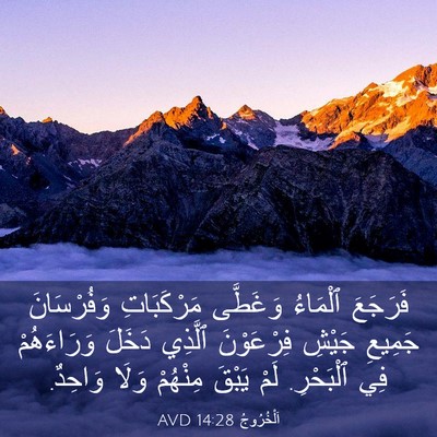 Picture 03 - اَلْخُرُوجُ 14:28 AVD - فَرَجَعَ ٱلْمَاءُ - Bible Verse Picture