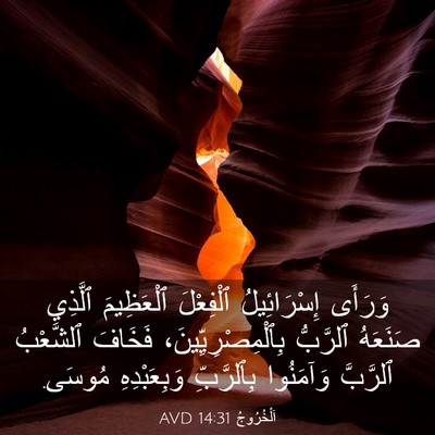 Picture 03 - اَلْخُرُوجُ 14:31 AVD - وَرَأَى إِسْرَائِيلُ - Bible Verse Picture