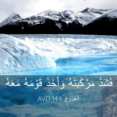 Picture 03 - اَلْخُرُوجُ 14:6 AVD - فَشَدَّ مَرْكَبَتَهُ - Bible Verse Picture