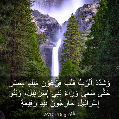 Picture 03 - اَلْخُرُوجُ 14:8 AVD - وَشَدَّدَ ٱلرَّبُّ قَلْبَ - Bible Verse Picture