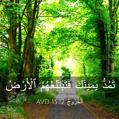 Picture 03 - اَلْخُرُوجُ 15:12 AVD - تَمُدُّ يَمِينَكَ - Bible Verse Picture