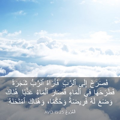 Picture 03 - اَلْخُرُوجُ 15:25 AVD - فَصَرَخَ إِلَى ٱلرَّبِّ. - Bible Verse Picture