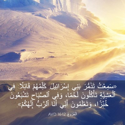 Picture 03 - اَلْخُرُوجُ 16:12 AVD - «سَمِعْتُ تَذَمُّرَ بَنِي - Bible Verse Picture