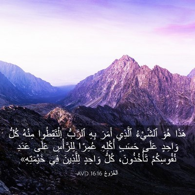 Picture 03 - اَلْخُرُوجُ 16:16 AVD - هَذَا هُوَ ٱلشَّيْءُ - Bible Verse Picture