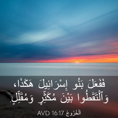 Picture 03 - اَلْخُرُوجُ 16:17 AVD - فَفَعَلَ بَنُو - Bible Verse Picture
