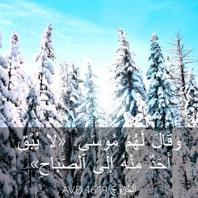 Picture 03 - اَلْخُرُوجُ 16:19 AVD - وَقَالَ لَهُمْ مُوسَى: - Bible Verse Picture