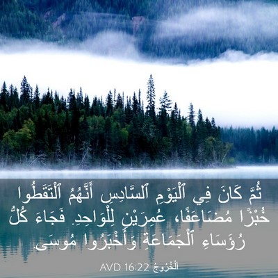 Picture 03 - اَلْخُرُوجُ 16:22 AVD - ثُمَّ كَانَ فِي ٱلْيَوْمِ - Bible Verse Picture