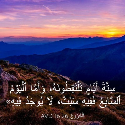 Picture 03 - اَلْخُرُوجُ 16:26 AVD - سِتَّةَ أَيَّامٍ - Bible Verse Picture