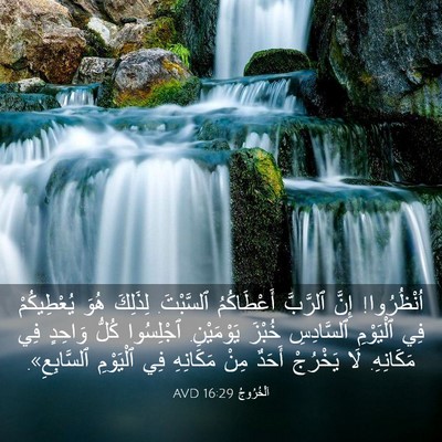 Picture 03 - اَلْخُرُوجُ 16:29 AVD - اُنْظُرُوا! إِنَّ ٱلرَّبَّ - Bible Verse Picture